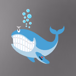 WHALES #4223