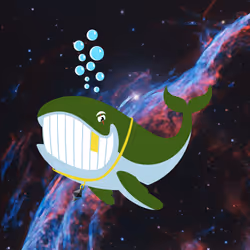 WHALES #4237