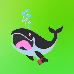 WHALES #6277