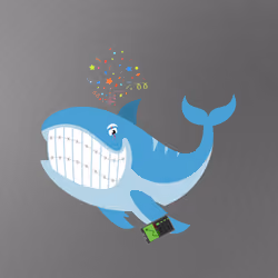 WHALES #911