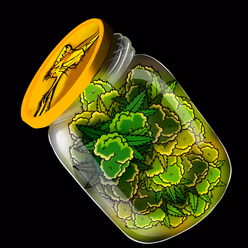 Jar O KatNip