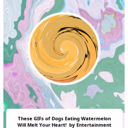 These GIFs of Dogs Eating Watermelon Will Melt Your Heart!  by Entertainment GIFs