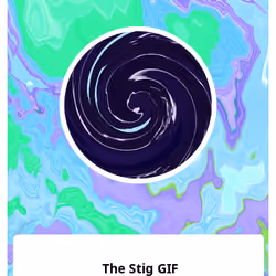 The Stig GIF