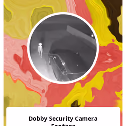 Dobby Security Camera Footage