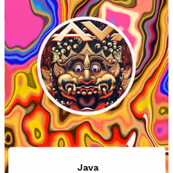 Java