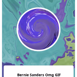 Bernie Sanders Omg GIF