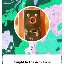 Caught In The Act - Facies 
