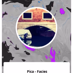Pica - Facies 