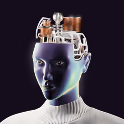 Open Mind #29