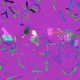 105
