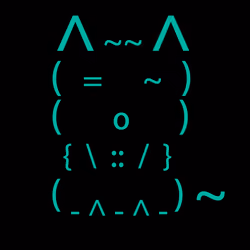 Catz #1168