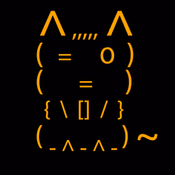 Catz #336