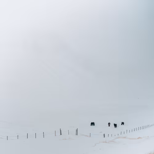 0x1db5fa1ddcc75c4c1dd65e6afec2eb37791017ba