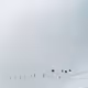 0x1db5fa1ddcc75c4c1dd65e6afec2eb37791017ba