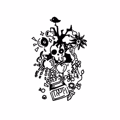 Imaginations
