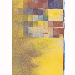 Fields #342