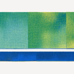Fields #782