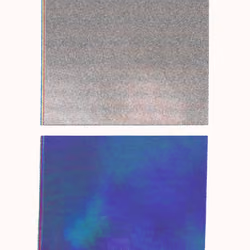 Fields #163