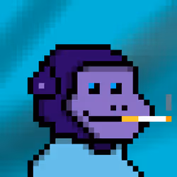 1194