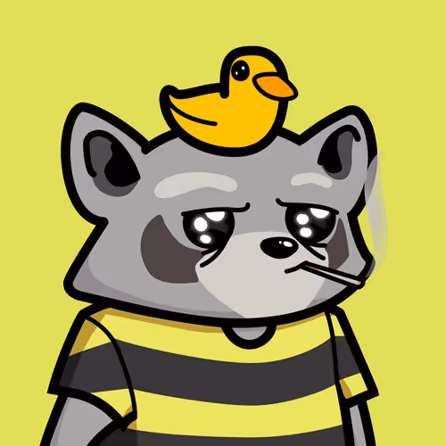 Raccools #6285