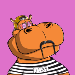 #567