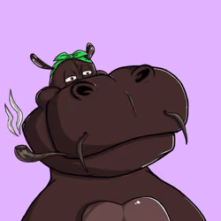 #326