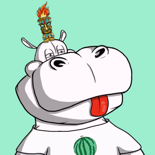 Thehippopool