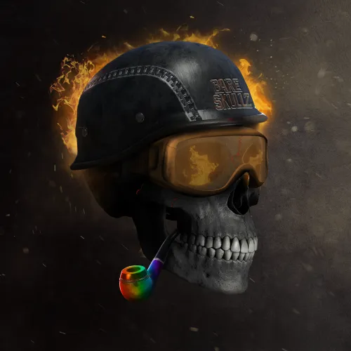 Item #11 Media