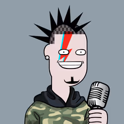 NotBoringPunks #411