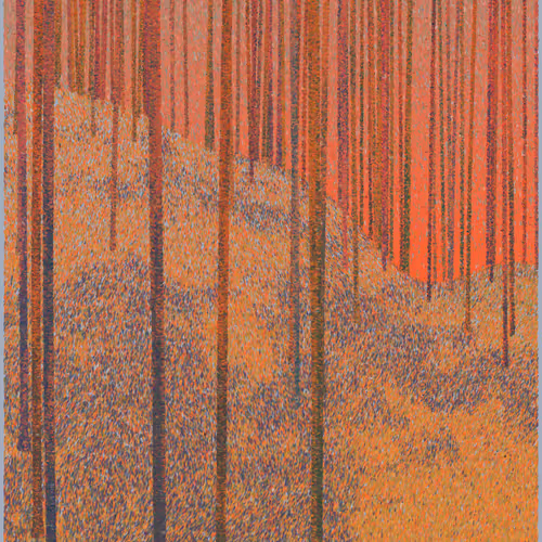 Forest Impressions
