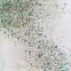 A New Language { Paintings — Poems }