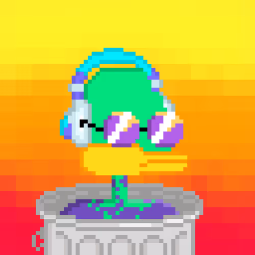 Crypto Supducks