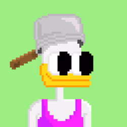 SupDuck 2401