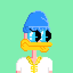 SupDuck 6652