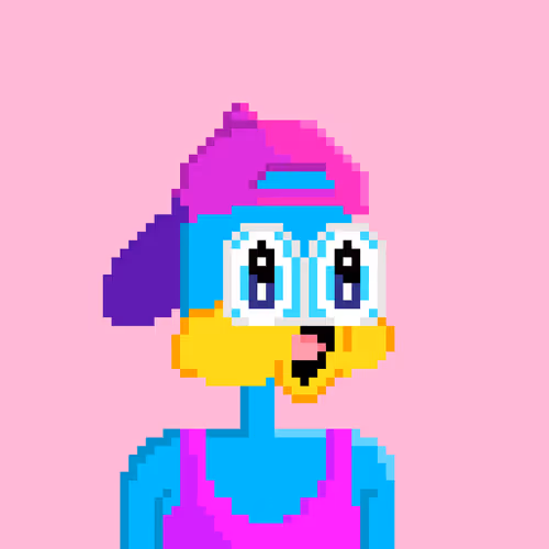 Crypto Supducks