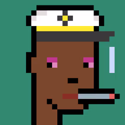 Pogpunk #481