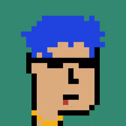 Pogpunk #1342