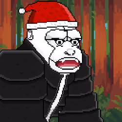 2055