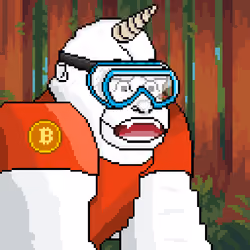 3244