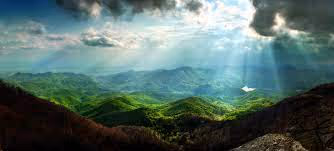 Nature Collection 39