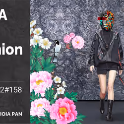 Gioia Pan x Too Much Information Lion #24