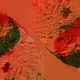 Healing Coral Royalties Test