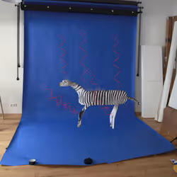 Nikita Diakur - Studio Footage, Zebra Escape