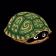 SHELL DUDES