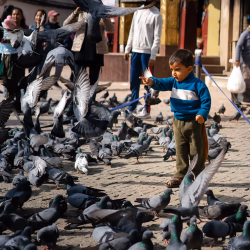 Nepal 2022