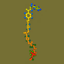 Cosmic Meta Molecules #1817