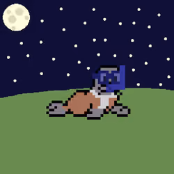 Pixel Seals Official #430