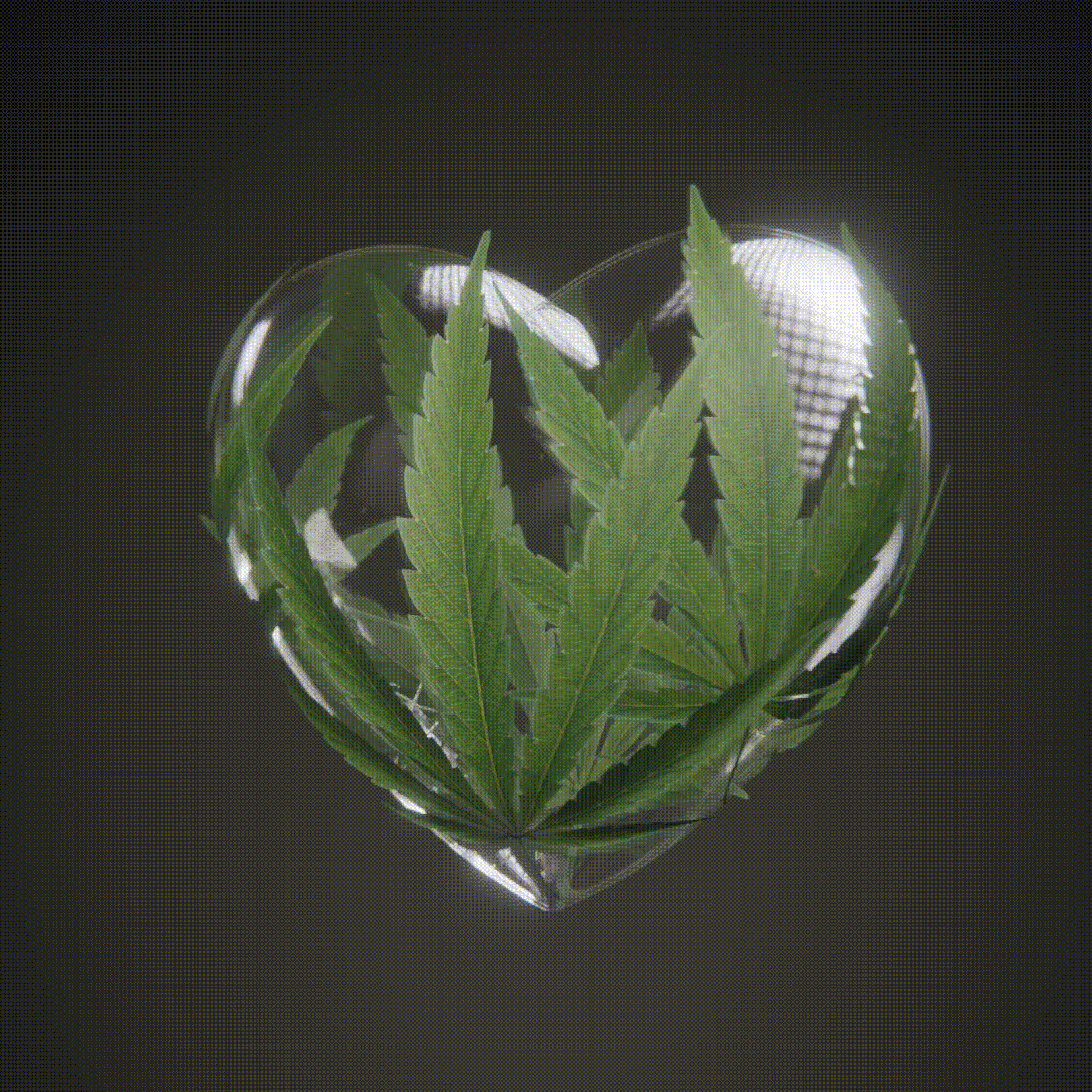 COLLECTLOVE.TODAY HEART #47