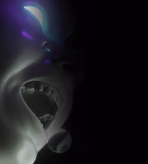 Item #24100030005 Media