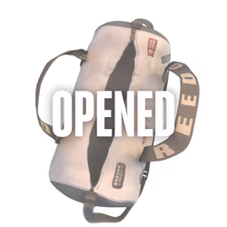 Bag - 4610